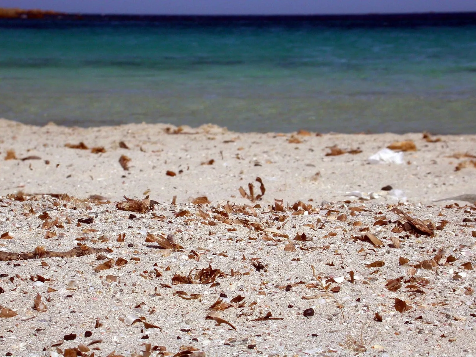 Sabbia grossa e chiara della spiaggia di Bassa Trinita a La Maddalena