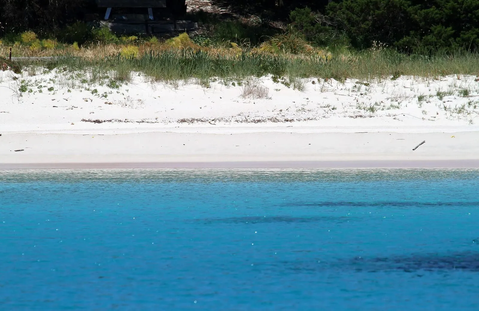 Battigia della Spiaggia Rosa di Budelli con la sabbia rosata e l'acqua bassa